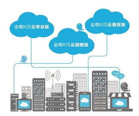 青海零售軟件應用大全 西寧易門供應與軟件開發指南